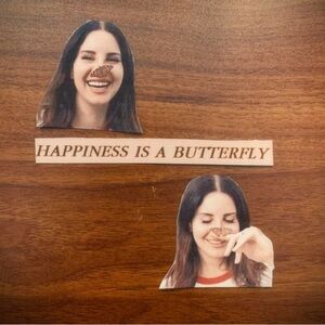 Lana del rey stickers set